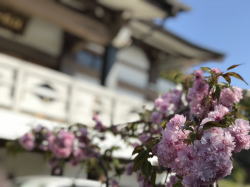 クリニック外観