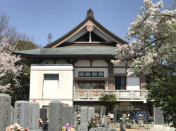 #樹木葬 #桜葬 #そら #永代供養 #宝塚 #西宮 #芦屋 #伊丹 #川西 #尼崎